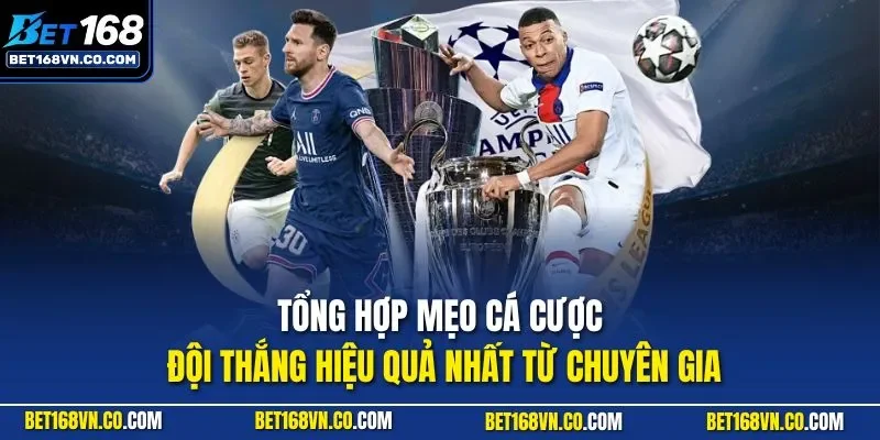 Tổng hợp mẹo cá cược đội thắng hiệu quả nhất từ chuyên gia